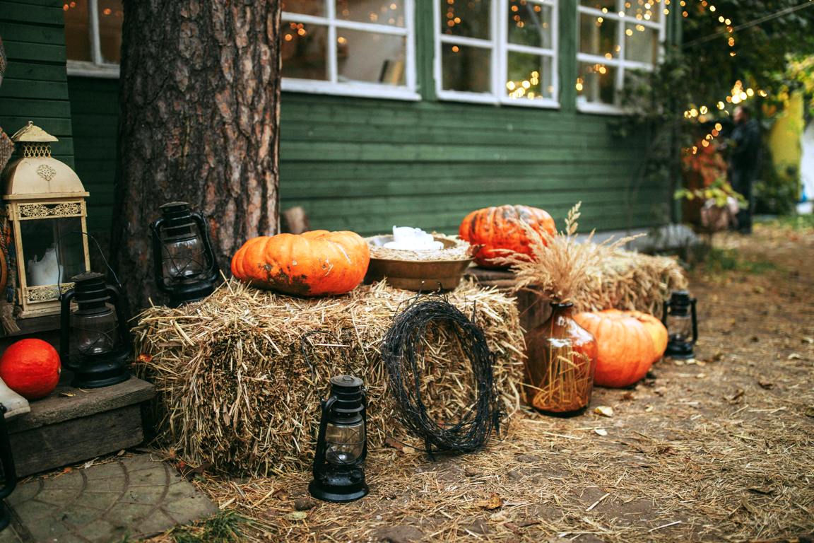 The Plymouth Fall Festival: A Multifaceted Event