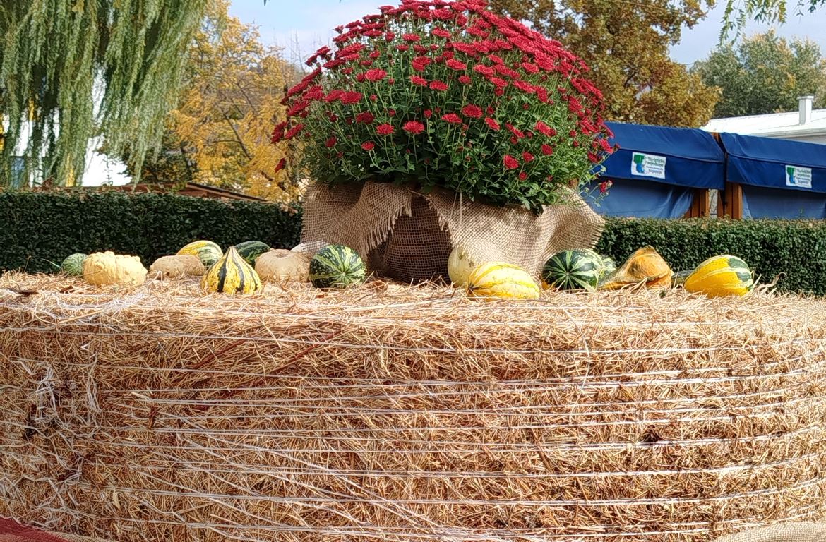 Orange Park Fall Festival: A Timeless Tradition