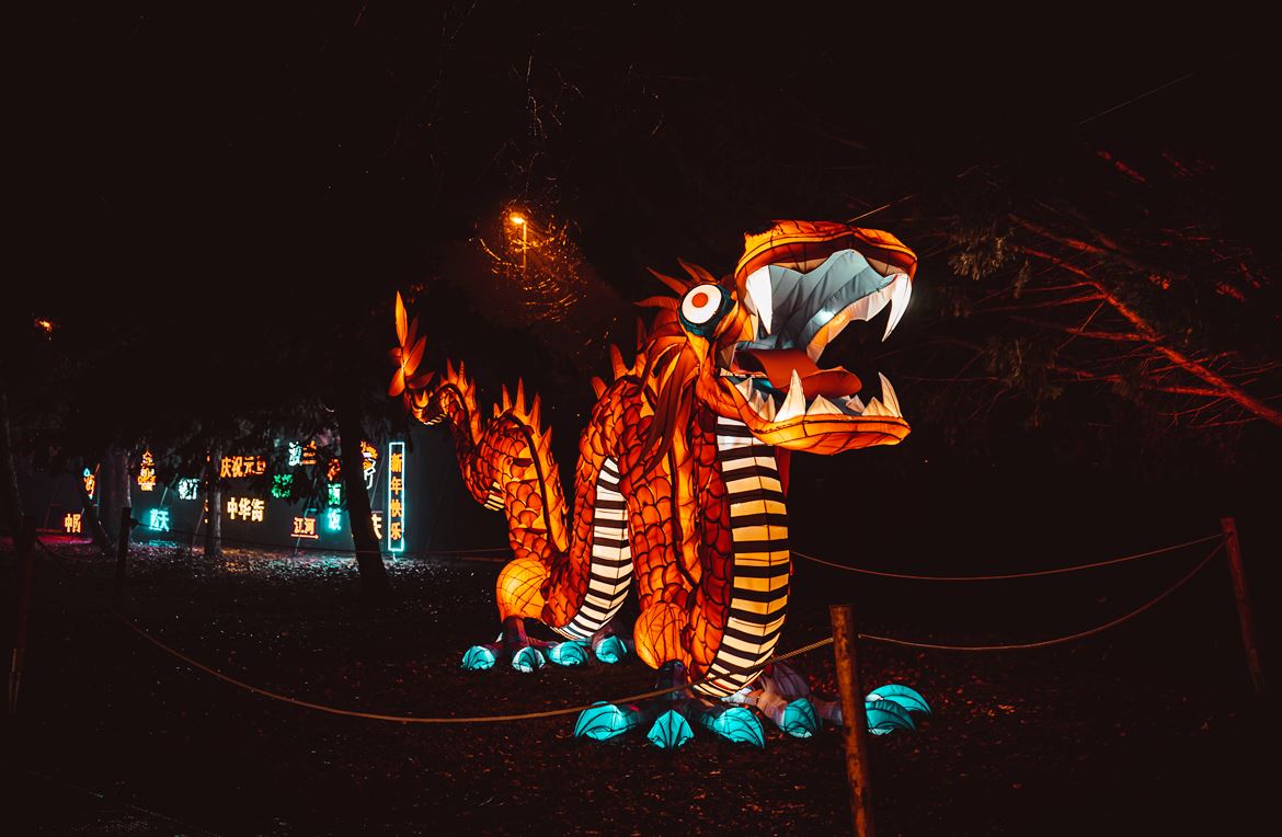 Experience the Magic: Festival of Lights in Roseburg, Oregon